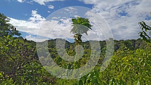 The view over the hill ia full of trees and green grass