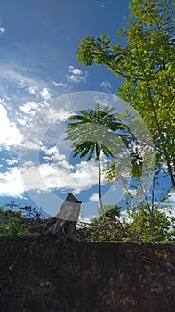 The view over the hill ia full of trees and green grass