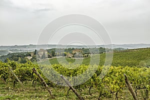 View over the hills with vineyards in beatiful Tuscany in Italy