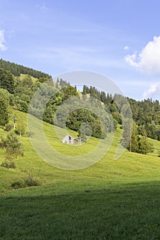 View over hilly, almost undulating lush green meadows. In the foreground is an wooden barn that is still in use. In the