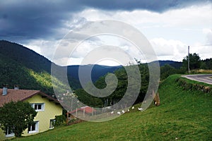 View over a house in the hills of La Bress to the Vosges mountain range