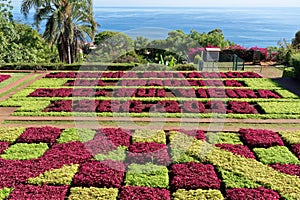 View over Jardim Botanico garden on Madeira