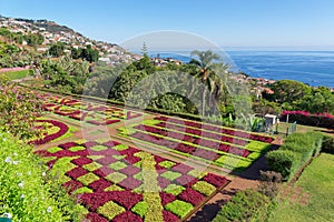 View over Jardim Botanico garden on Madeira island photo
