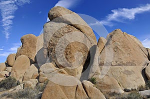 View over Joshua National Desert