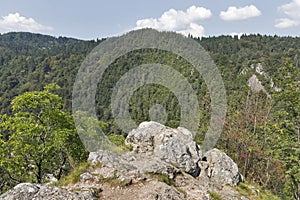 View over Julian Alps from mountain Osojnica in Bled