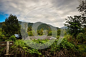 View over jungle landscape at thailand island