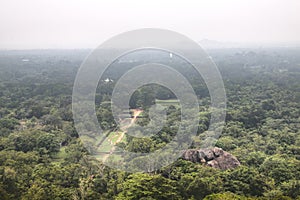 View over the jungle in Sigiriya, Sri Lanka