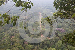 View over the jungle in Sigiriya, Sri Lanka