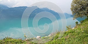 view over lake Brienzersee to lake shore and mountains, Bernese Oberland