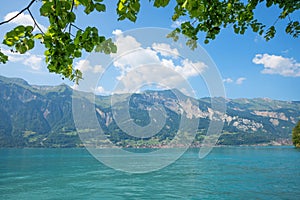view over lake Brienzersee, tourist resort Brienz at the opposite site, linden tree branches photo