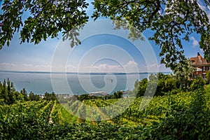 View over Lake Constance