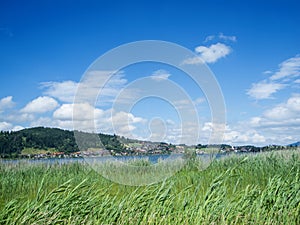 View over Lake Hopfensee in summer 2023