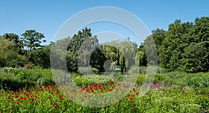 View over the lake at the Millennium Garden at Pensthorpe Natural Park, Norfolk UK, designed by Piet Oudolf.