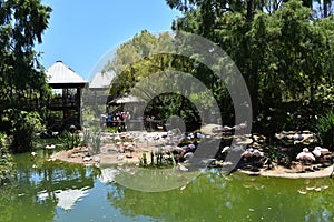 View over landscape at Safari Zoo in San Diego