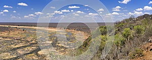 View over the Letaba River in Kruger National Park