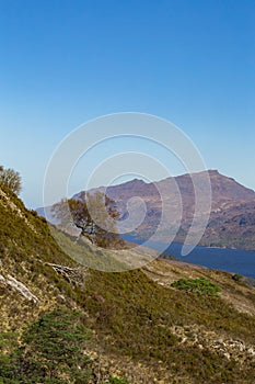View over Loch Maree from a hiking trail