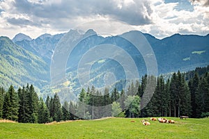 View over Logarska valley to Kamnikâ€“Savinja Alps in Slovenia