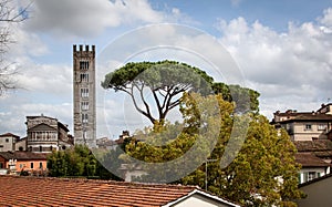 View over Lucca and Duomo San Martino in Tuscany, Italy