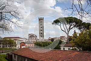 View over Lucca and Duomo San Martino in Tuscany, Italy