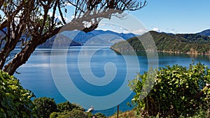 View over Marlborough Sounds from the top of Maud Island, Marlborough Sounds, south island, Aotearoa / New Zealand