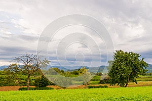 View over meadows and vineyards just before a rain shower, Heitersheim, Breisgau