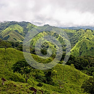 View over Monteverde