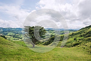 View over Monteverde