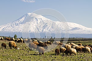 View over the Mount Ararat from Armenia.