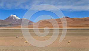 View over mountains, desert and VicuÃÂ±a from the Road 23, Atacama Desert, Northern Chile photo