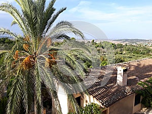 View over the mountains of Mallorca from Maria de la Salut, Spain photo