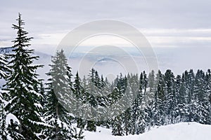 View over the mountains snow covered, snowshoeing adventure in canada vancouver
