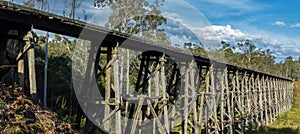 view over the Noojee Trestle bridge, Gippsland, Victoria, Australia photo
