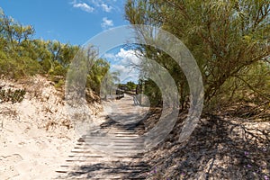 View over the North Troia Walkways with green trees, Troia, Comporta, Portugal