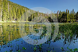 View over Nymph Lake in the Rocky mountain National Park in Colorado