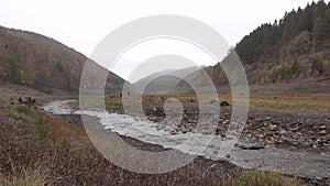 View over the Oder Reservoir in Harz mountain range, Germany