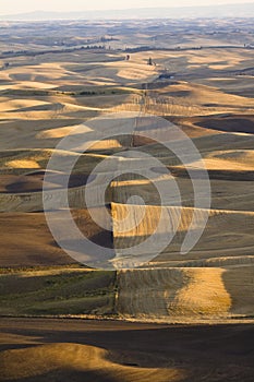 View over patchwork of farms in autumn, Palouse Valley, eastern