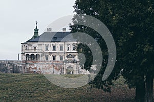 View over Pidhirtsi Castle in Lviv region from behind the tree, Ukraine