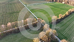 View over Rheingau at dusk - agricultural fields and vineyards