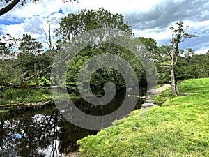 View over the River Ribble, near, Hallgate Hill in, Newton, Clitheroe, UK photo