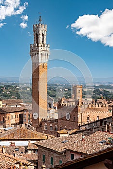 View over the roofs of Siena towards the Torre Magna, seen from the roof of the Siena cathedral