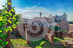 View over the ruins of the Roman Forum