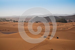 View over the Sahara Desert with camels waiting for tourists