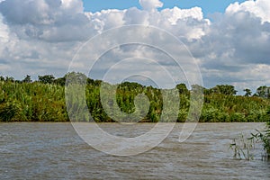 View over a sewer with reed and dramatic clouds in the blue sky in Friesland, Lower Saxony