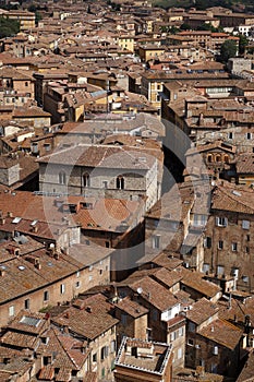 View over siena from the tower of palazzo pubblico