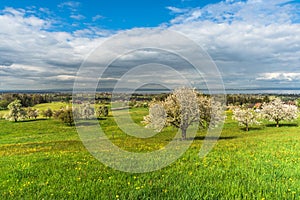View over a spring meadow to Lake Constance, Canton of Thurgau, Switzerland photo