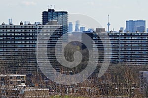 View over suburb with skyline