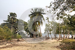 View over Sundarbans national park in Bangladesh