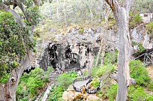 View over Sunken Forest at Lake Cave