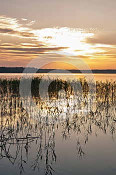 View over sunrise White Lake. Rivne region, Ukraine