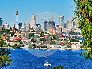 View Over Sydney Harbour to Point Piper and City Buildings, Australia